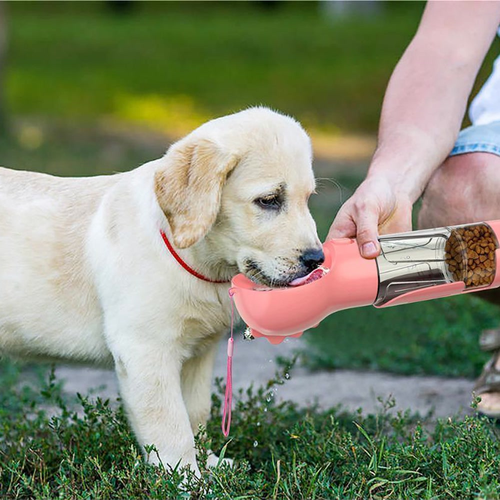 Portable Pet Water Bottle Feeder
